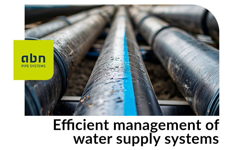 Efficient management of water supply networks: reducing losses, ensuring sustainabilit